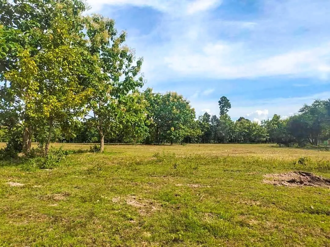 19+ Rai Chanote Land Plot - Premium Doi Saket Location