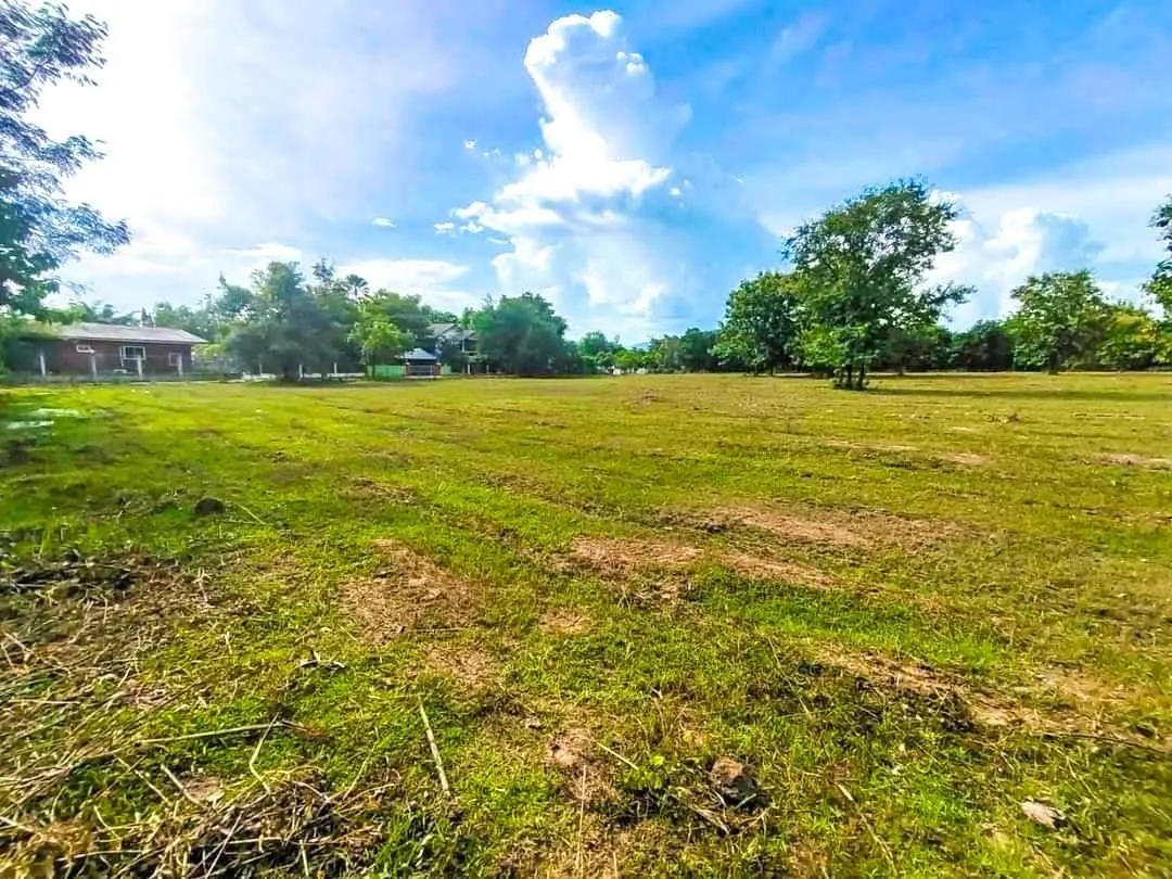 19+ Rai Chanote Land Plot - Premium Doi Saket Location