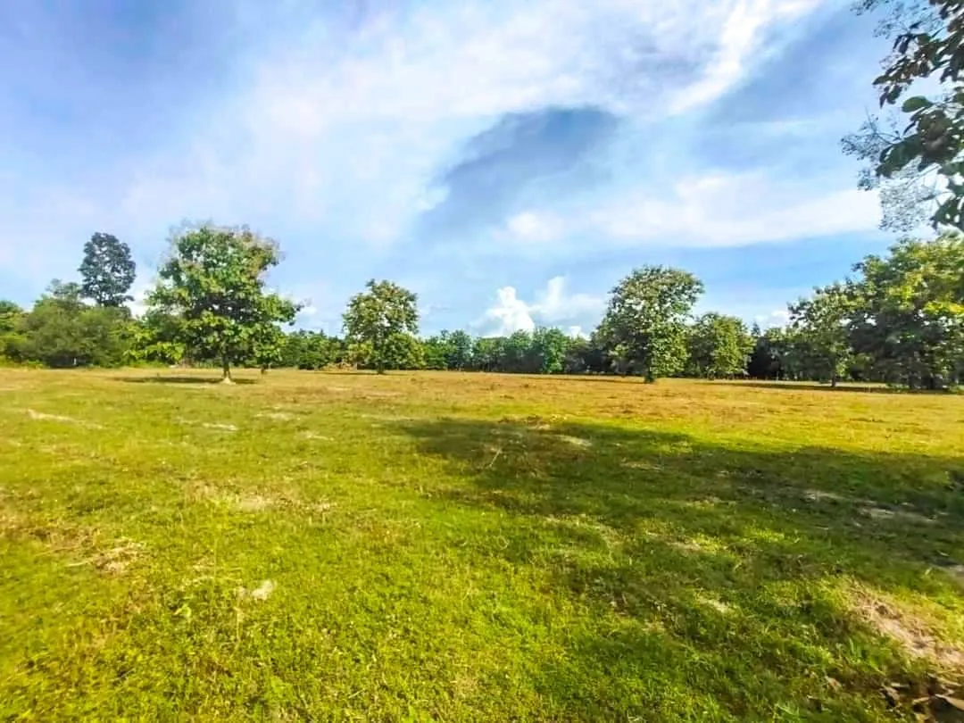 19+ Rai Chanote Land Plot - Premium Doi Saket Location