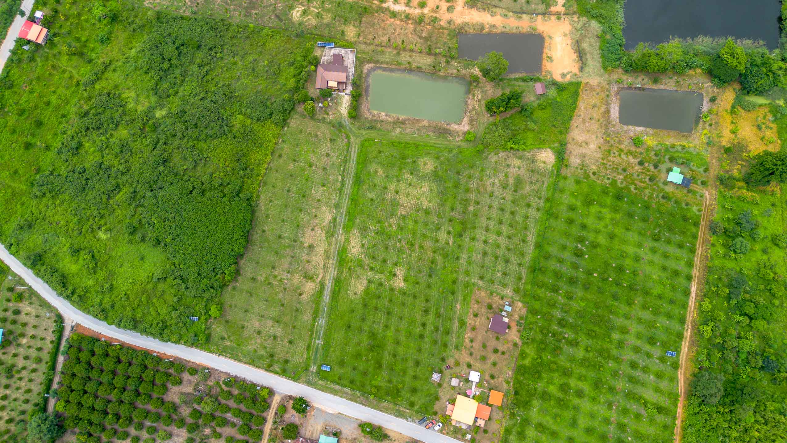 Private Solar-Powered Farmstead With Pond & Income Potential In Northern Thailand