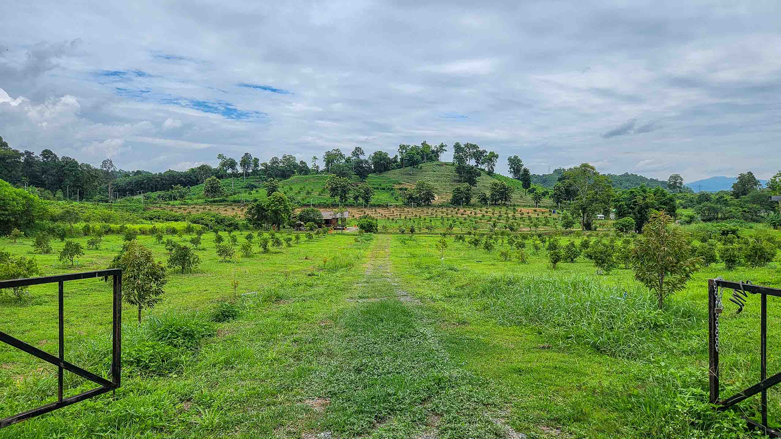 Private Solar-Powered Farmstead With Pond & Income Potential In Northern Thailand