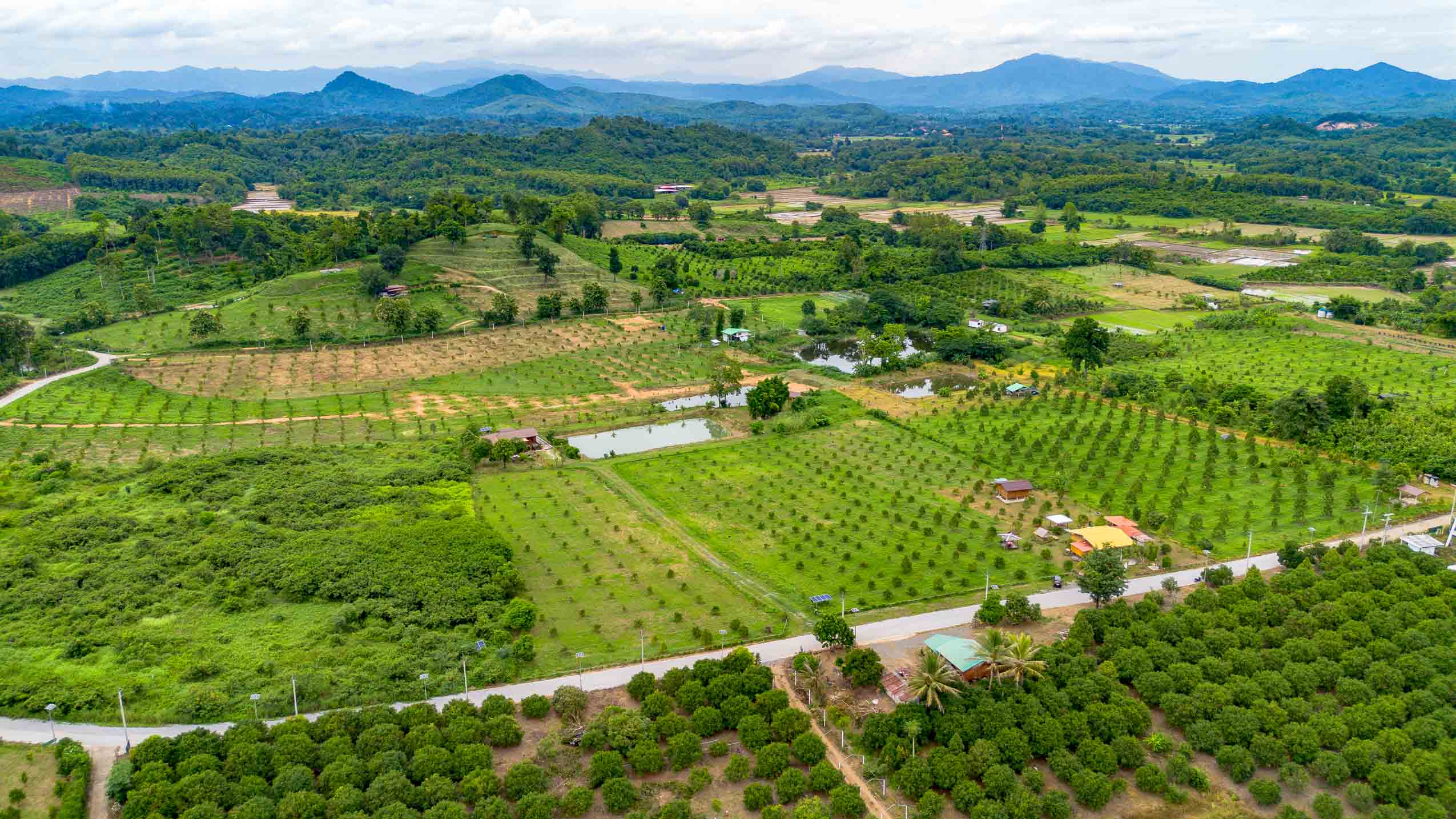 Private Solar-Powered Farmstead With Pond & Income Potential In Northern Thailand