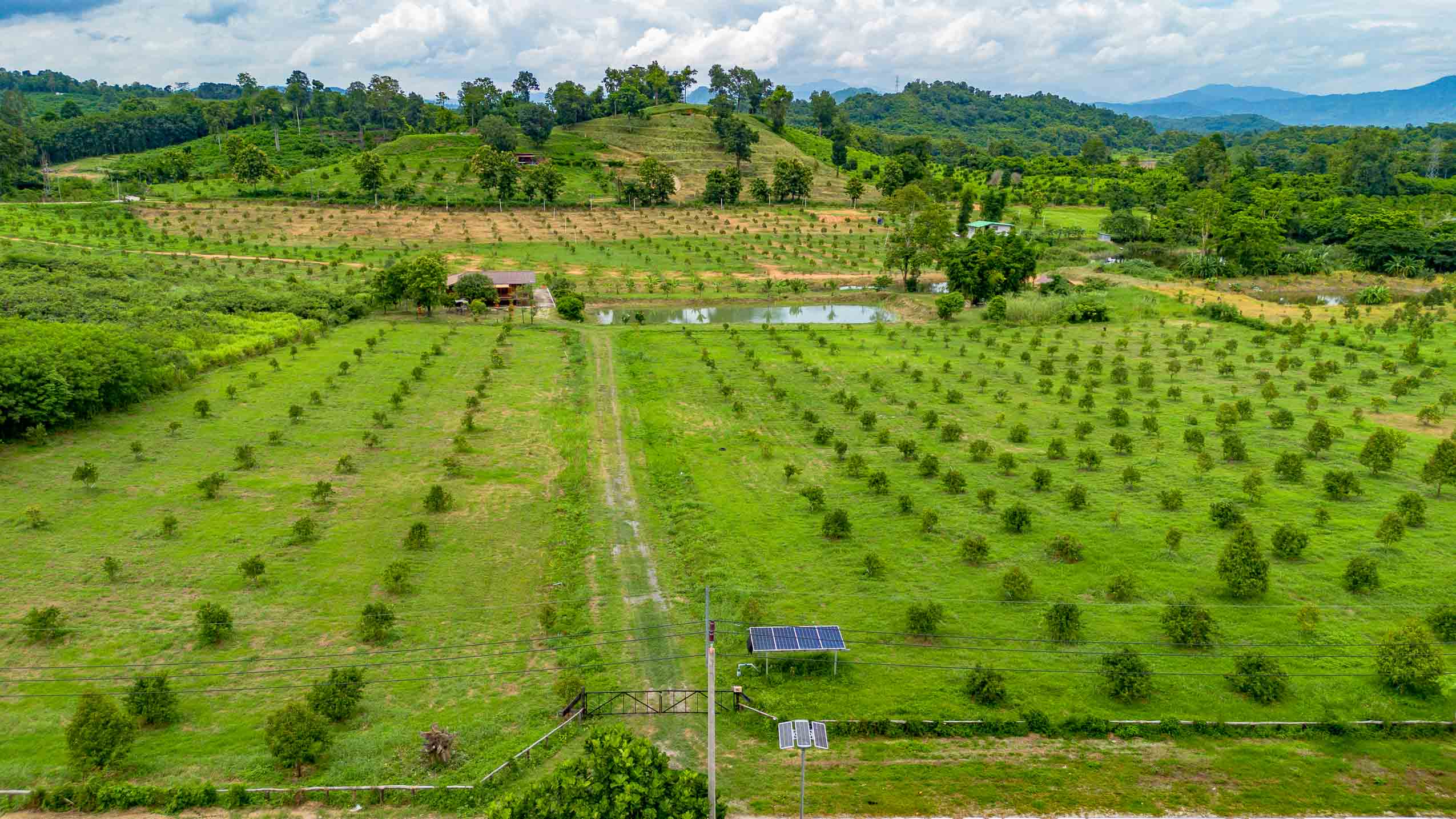 Private Solar-Powered Farmstead With Pond & Income Potential In Northern Thailand