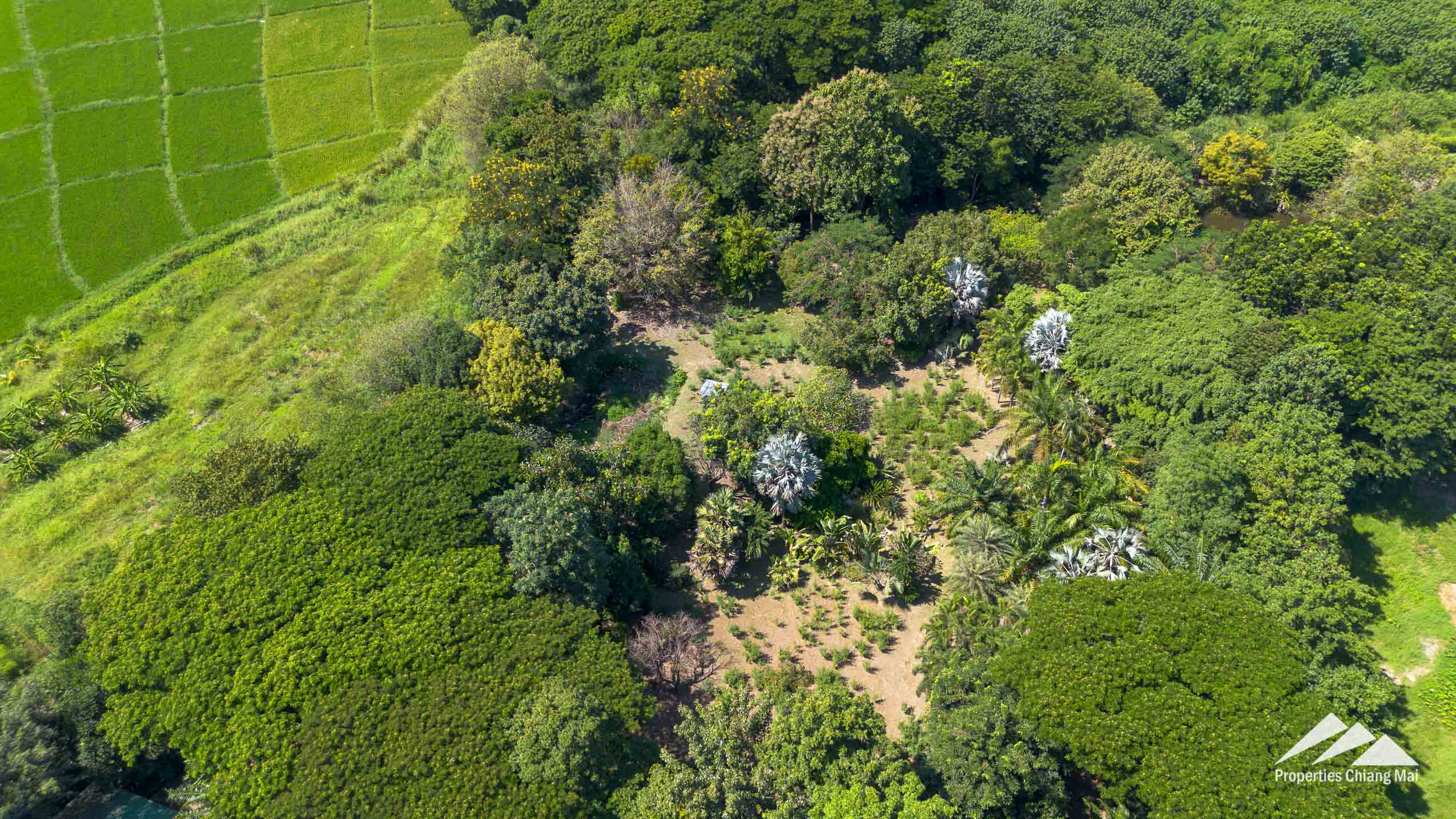 Chiang Mai property of sale, plot of land 7.5 rai ready for development