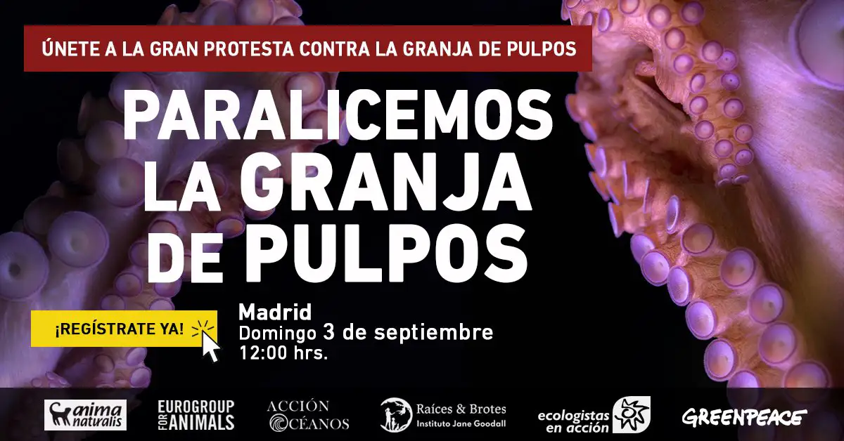 Concentración No Granja de Pulpos Gran Canaria