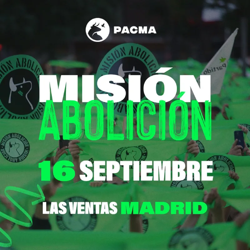 Manifestación Misión abolición Madrid