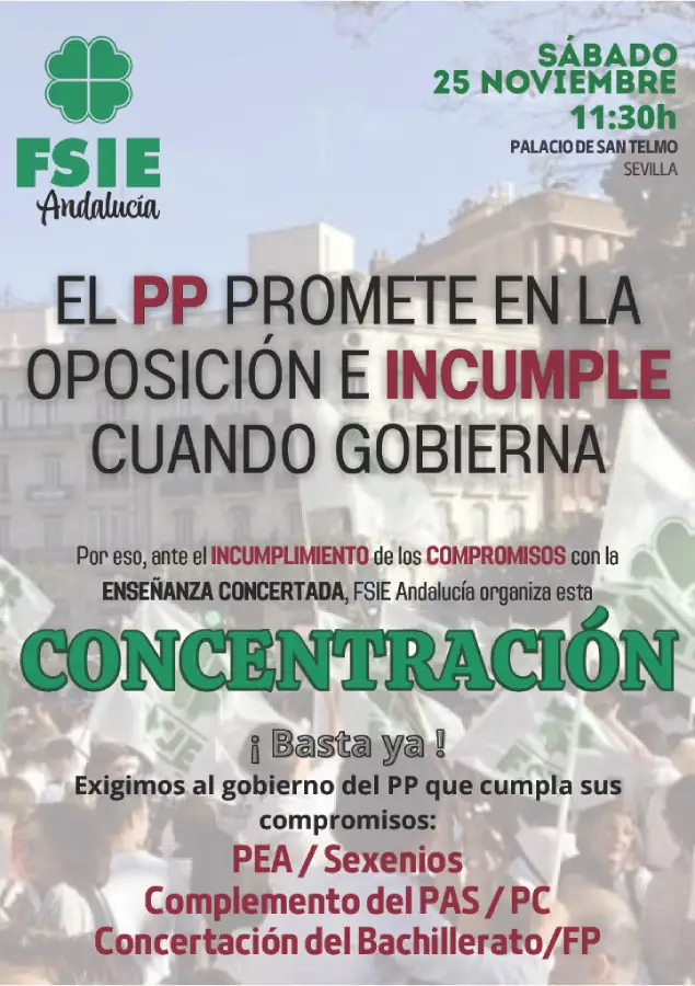 Cartel FSIE concentración 25N docentes