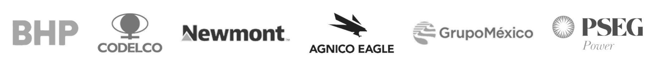 Clientes de Covex: BHP, Codelco, Newmont, Agnico Eagle, Grupo México y PSEG Power