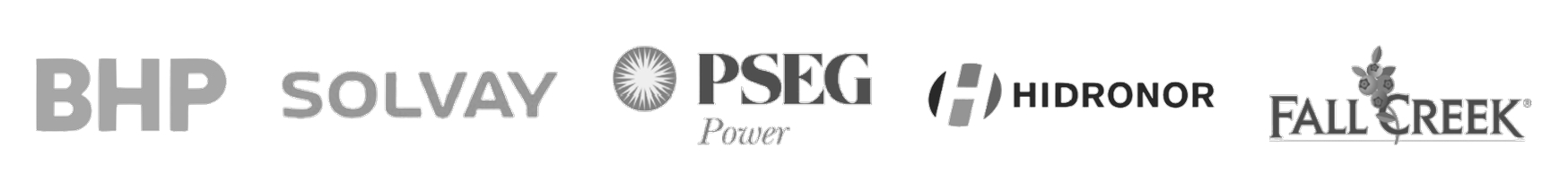 Covex clients : BHP, Solvay, PSEG Power, Hidronor et Fall Creek