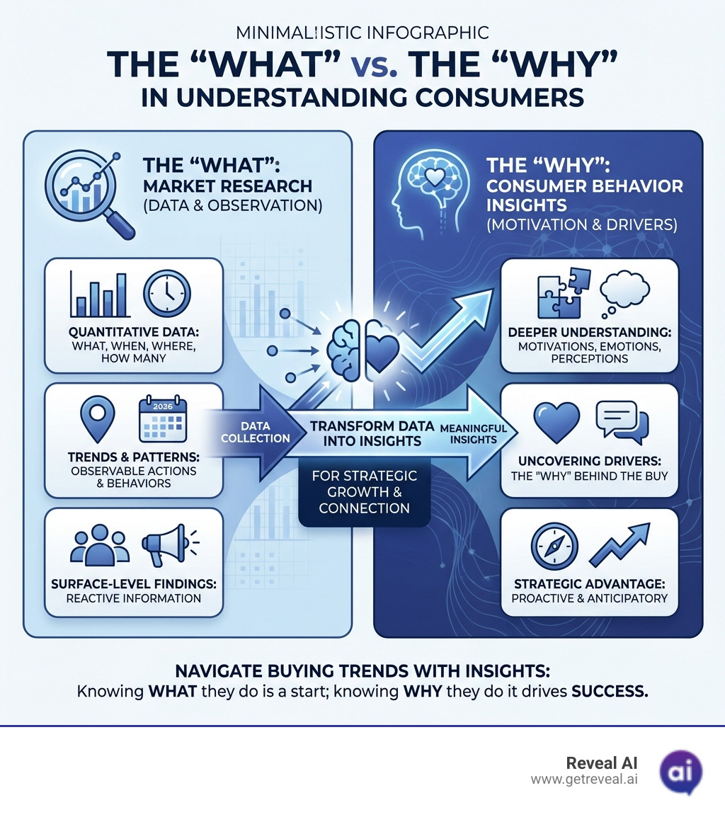 infographic clarifying the distinction between the "What" (Market Research) and the "Why" (Consumer Behavior Insights) - consumer behavior insights infographic 