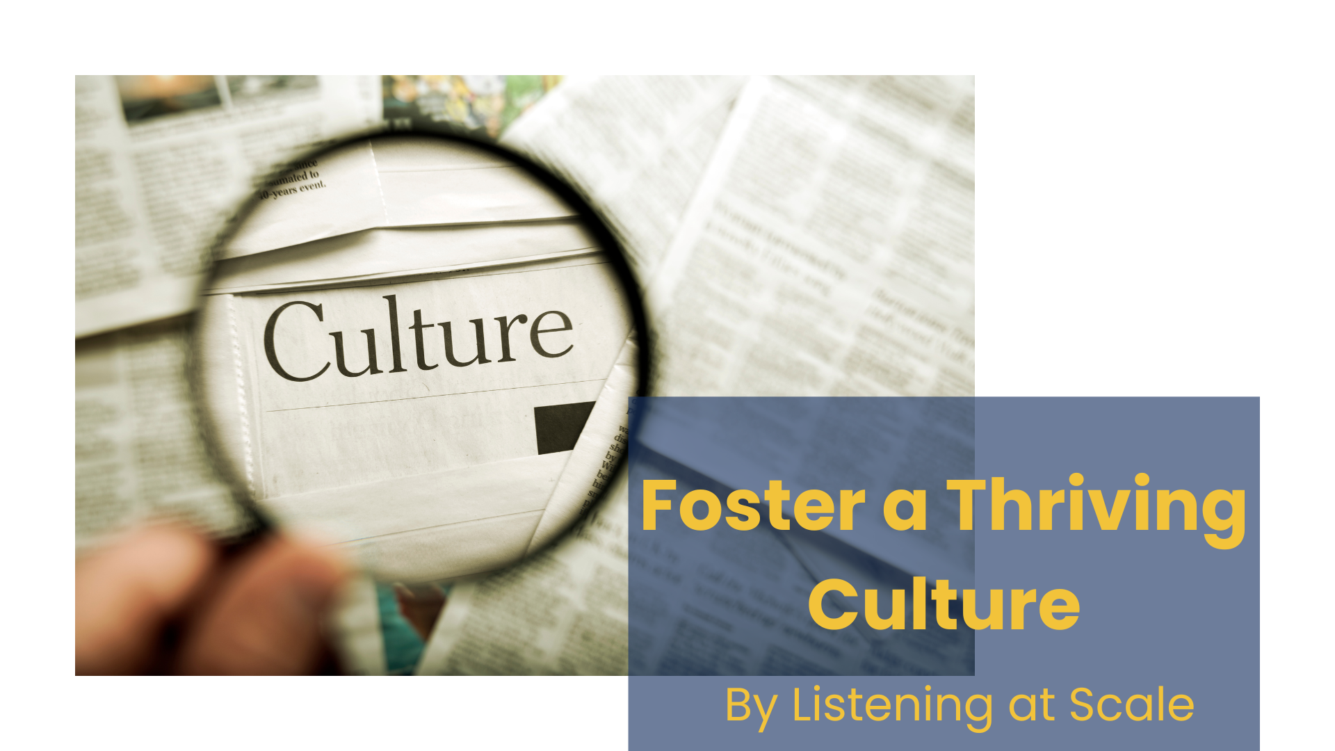 Foster a Thriving Organizational Culture