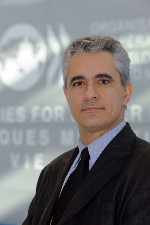 Stefano Scarpetta