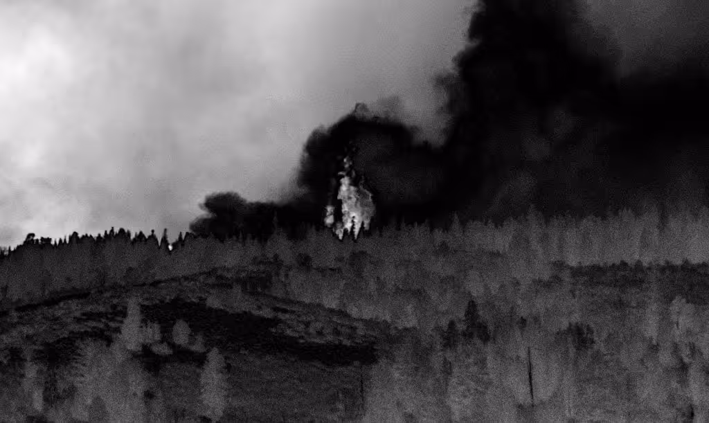 Drones wildfire response