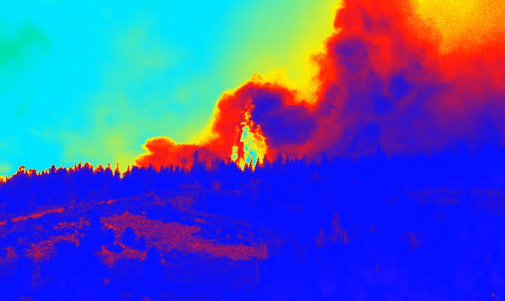 Early detection of forest fires using drones