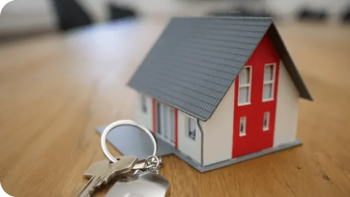 corporate structure and asset protection corporate structure and asset protection