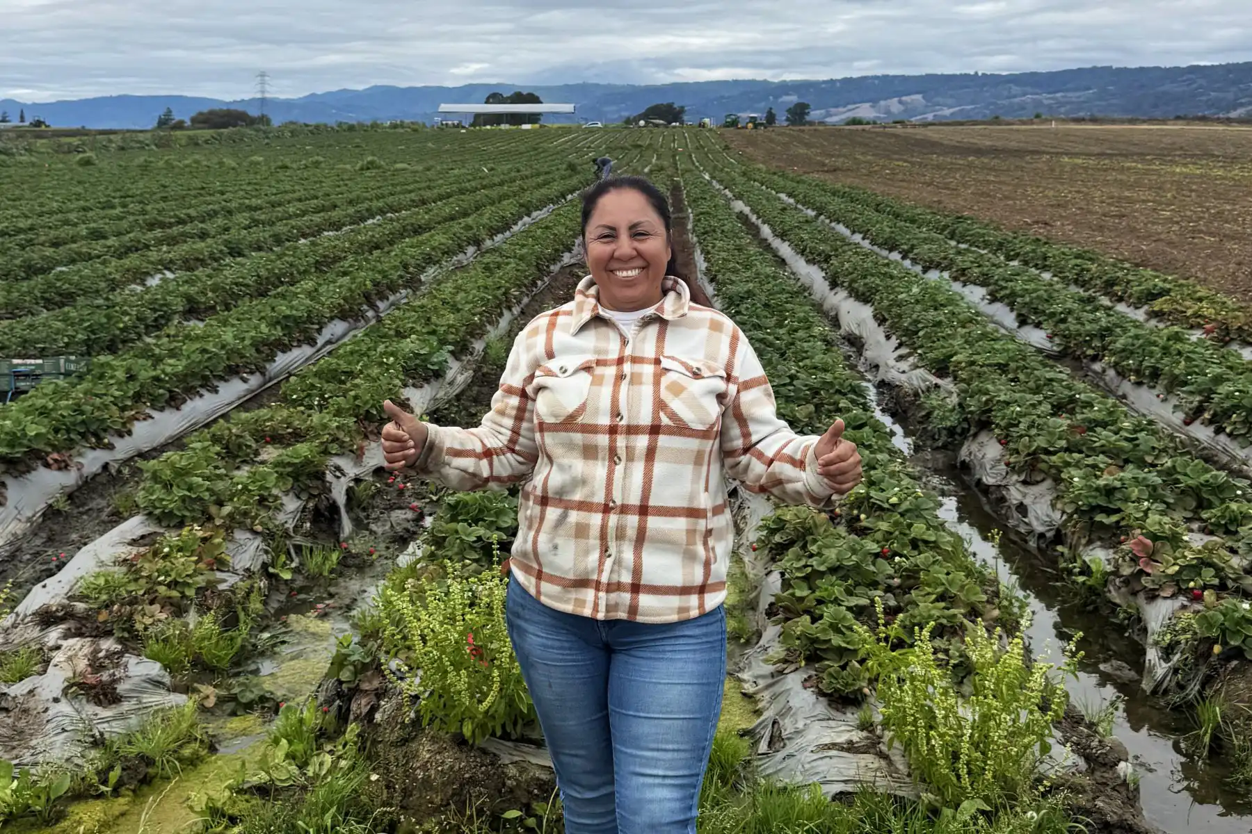 California FarmLink resilerador laboral farmer stands smiling with thumbs up in a field on a foggy day