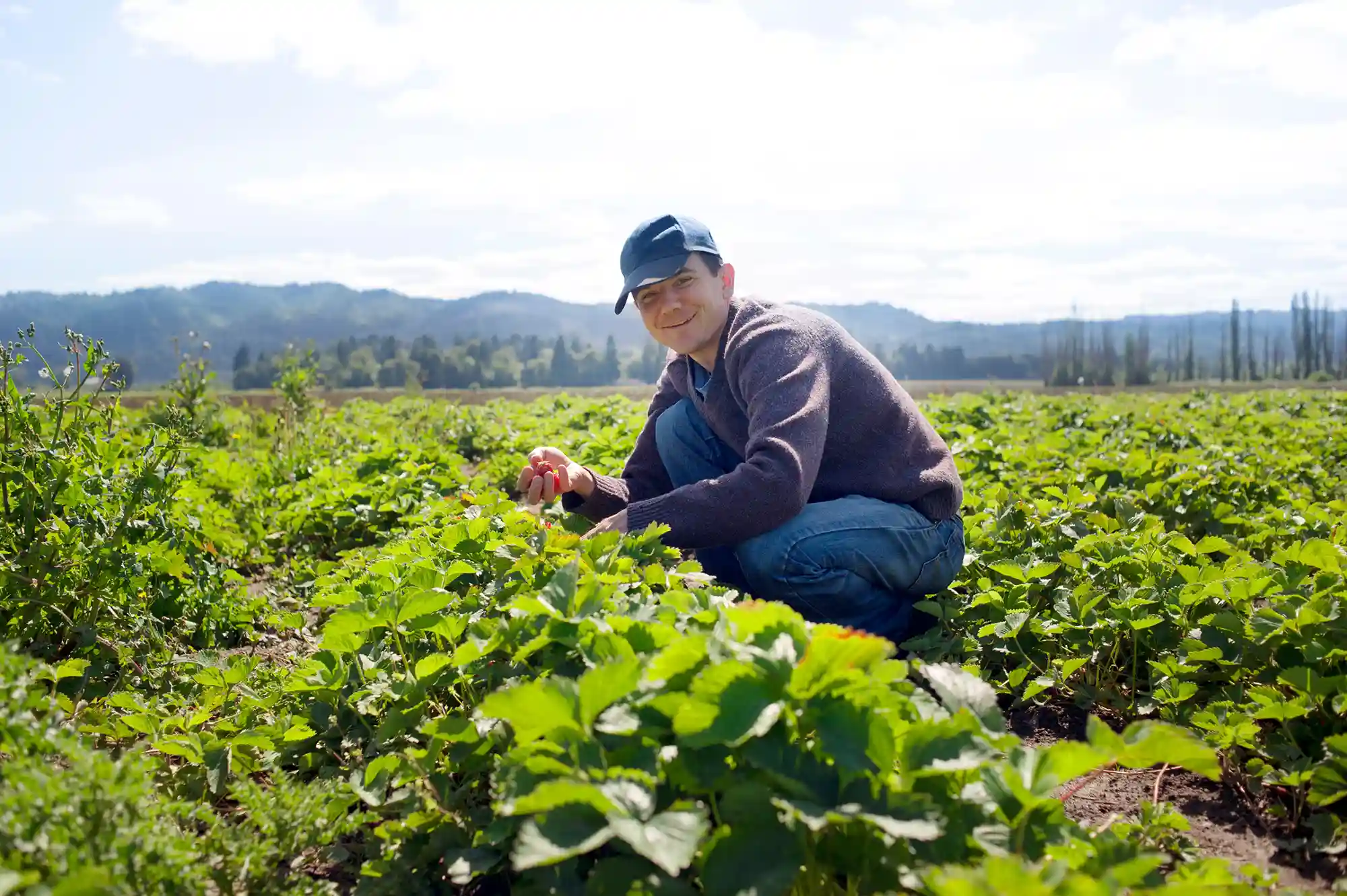 Farmer smiles while he squats in a field holding fruit on a sunny day