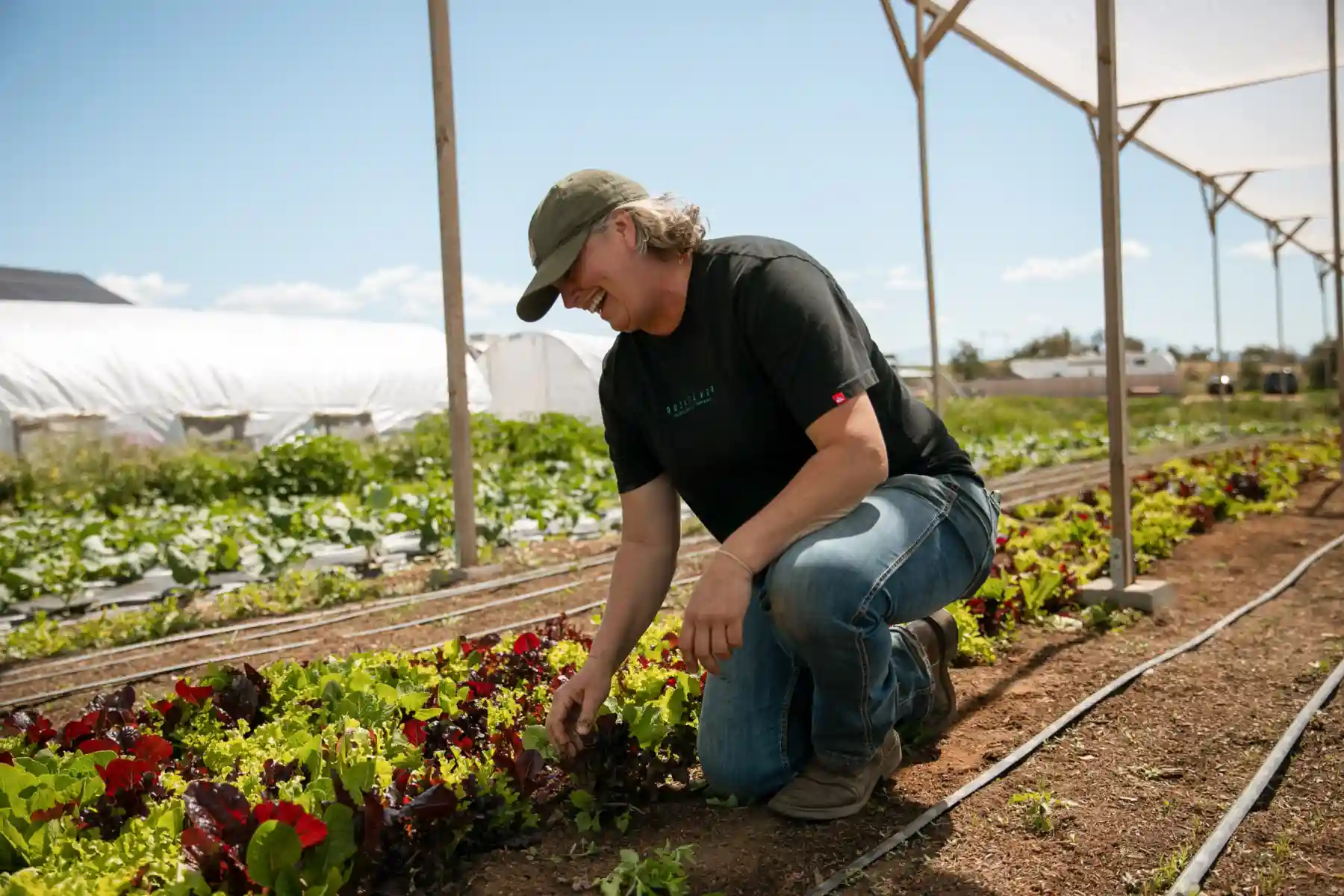 Una mujer cuidando las plantas de un cultivo en hileras en un día soleado