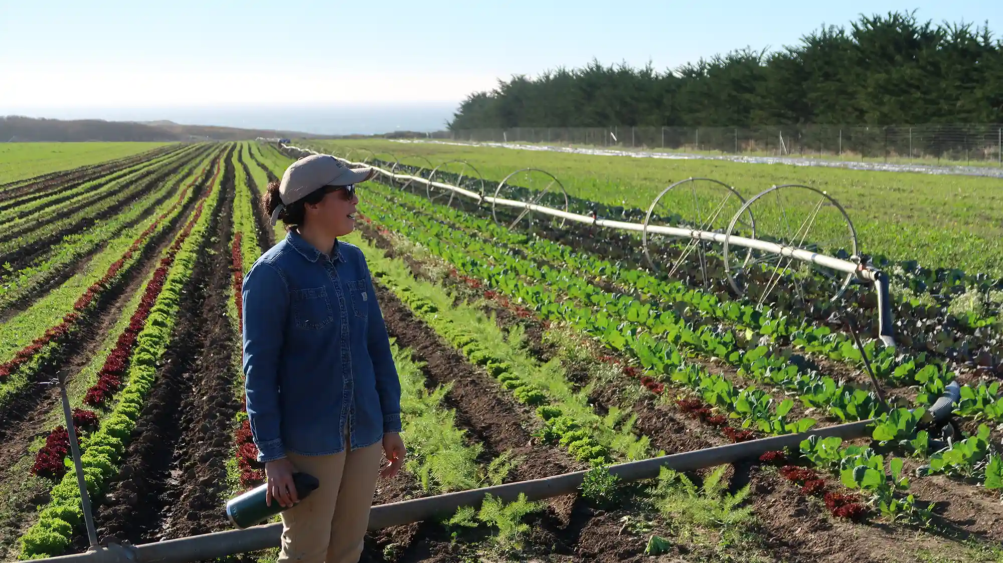 Woman stands in field wearing a blue top