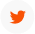Twitter Icon