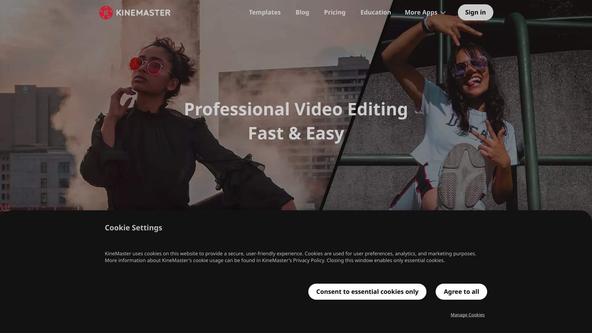 Kinemaster interface screenshot