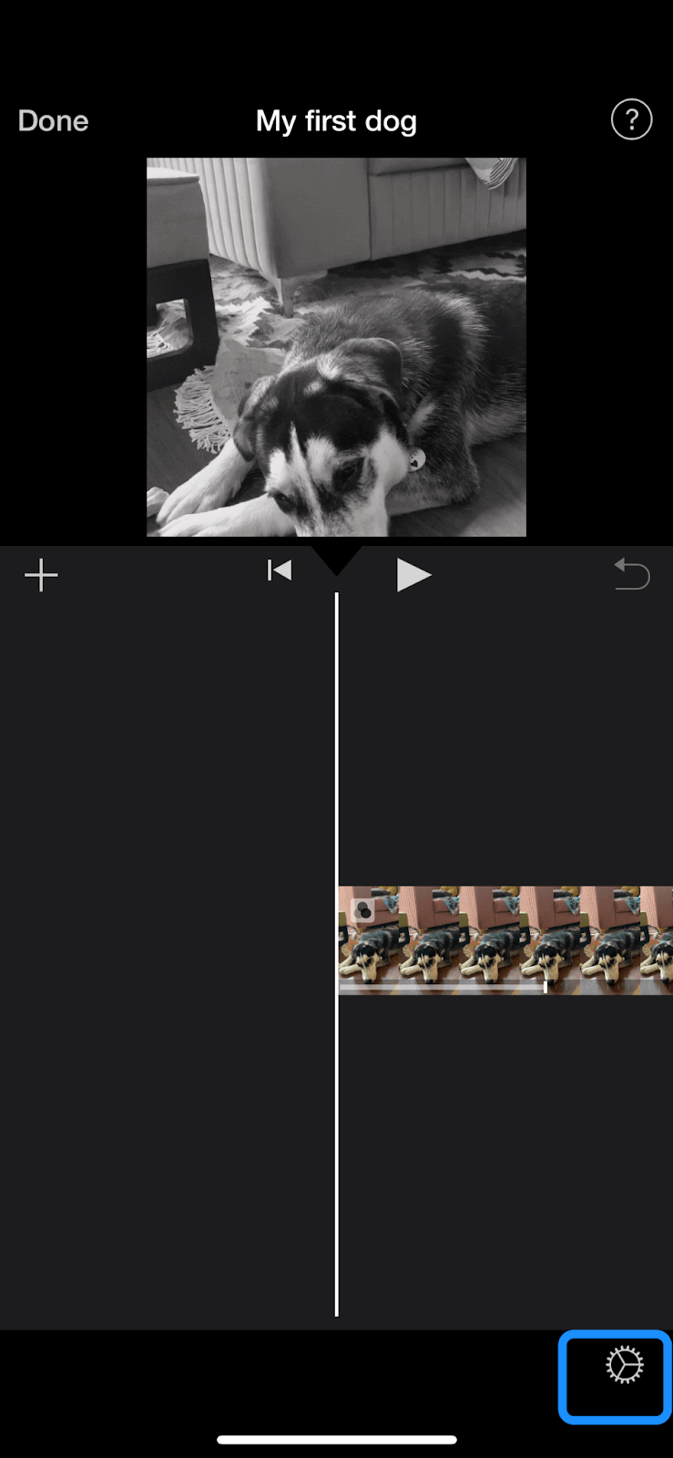 Adding a filter through iMovie