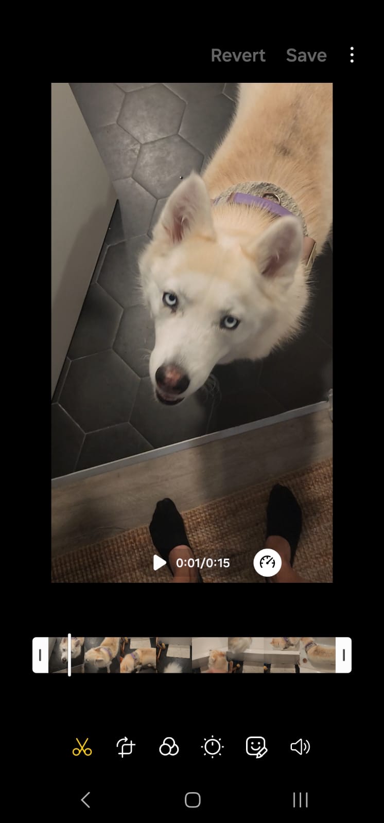 Image of trim bar on Android phone