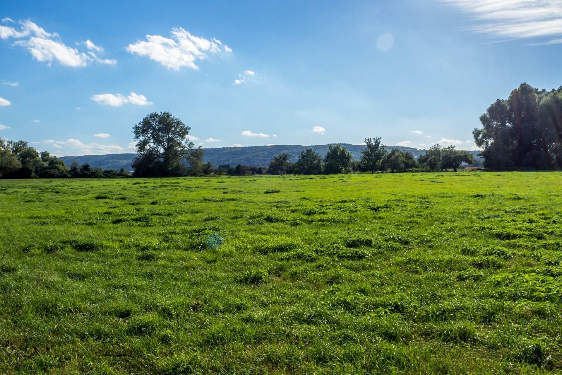 A vast greenfield site under a bright blue sky.