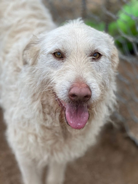 neues Foto Juli 2025