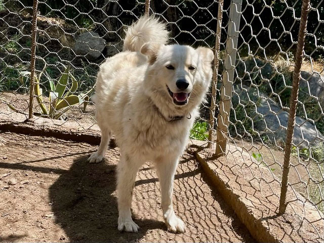 neues Foto Juli 2025