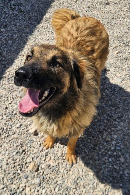 neues Foto Juli 2025