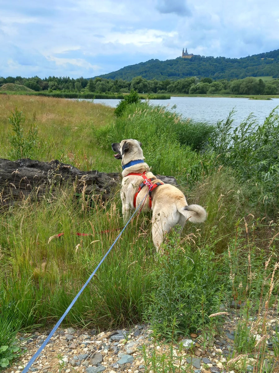 neues Foto Juli 2025