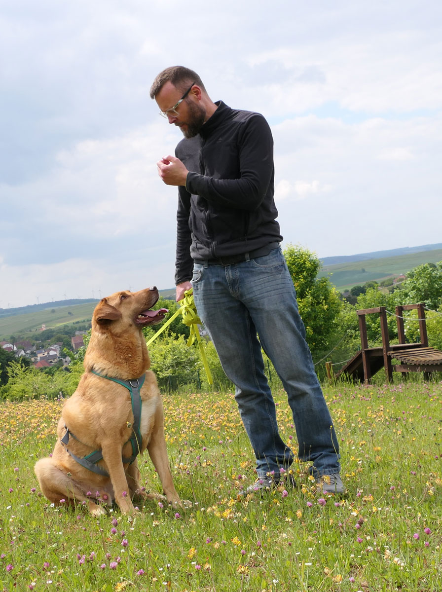 neues Foto Juli 2025