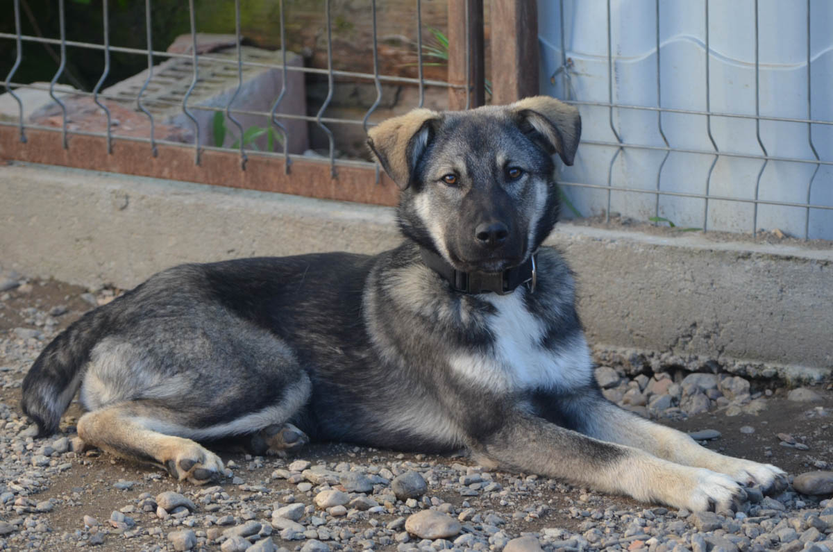 neues Foto Juli 2025 - Max