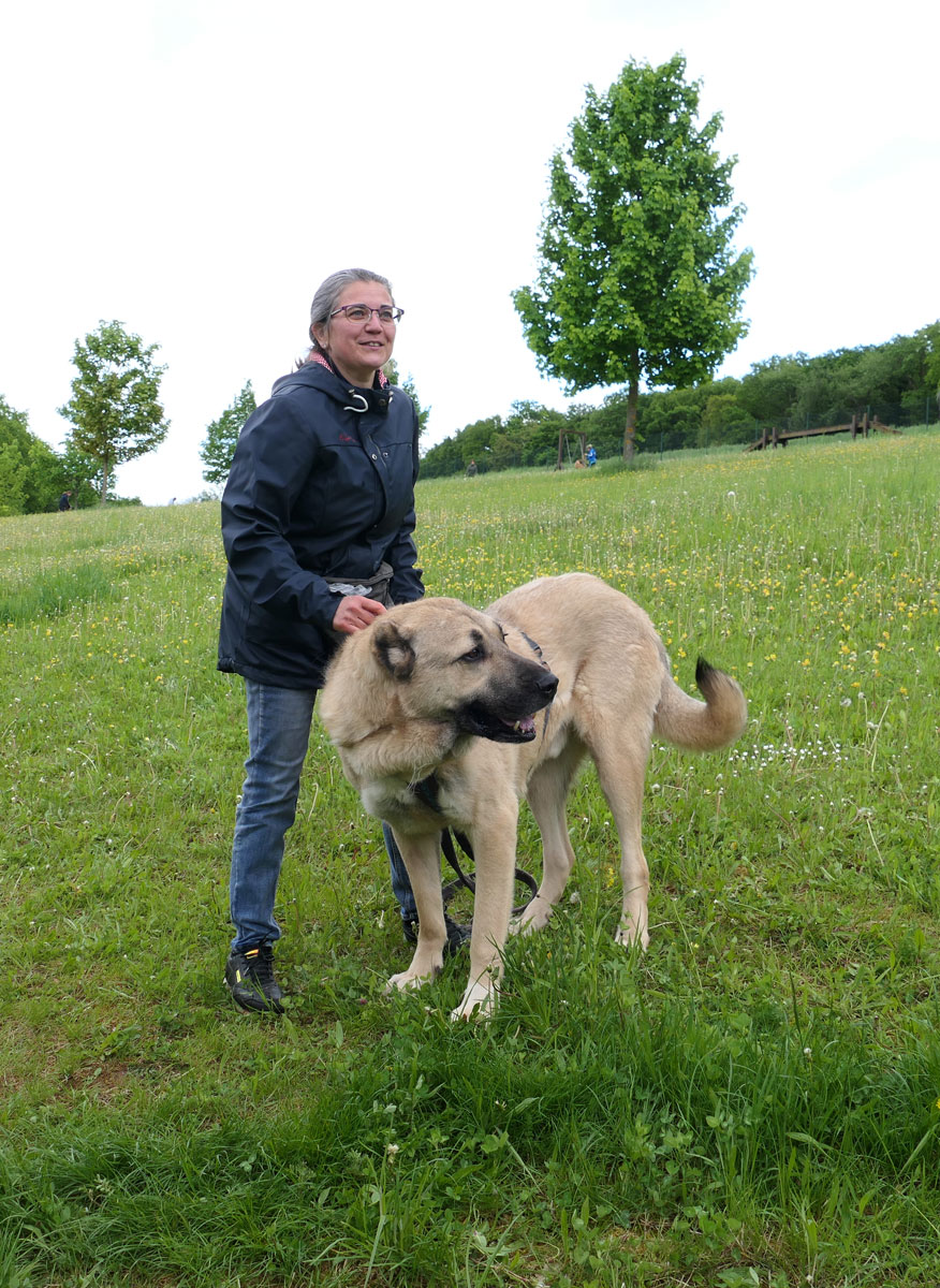 neues Foto Juli 2025