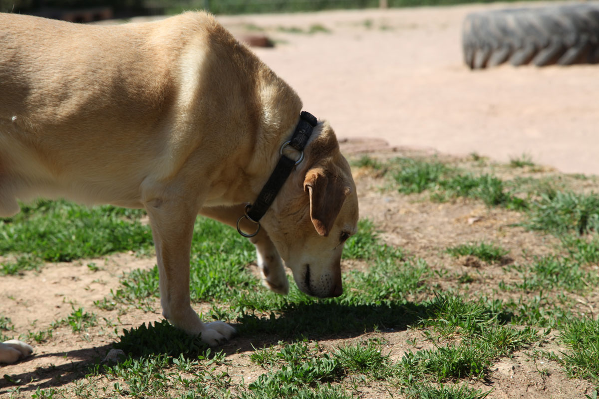 neues Foto August 2025