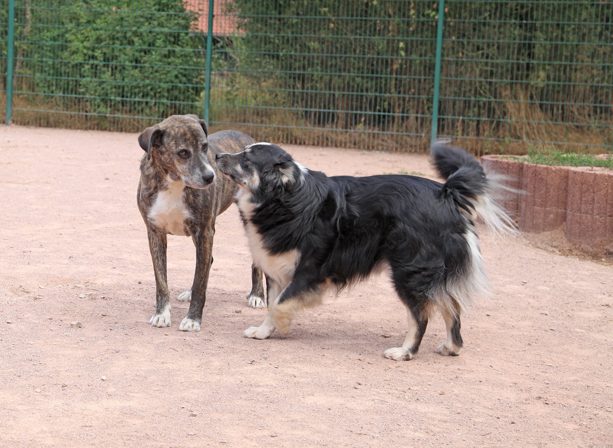 Bontje und Badi