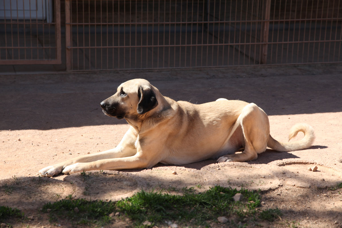 neues Foto August 2025