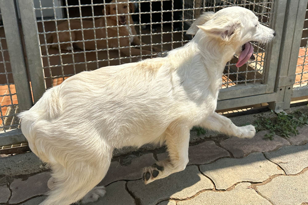 neues Foto September 2025