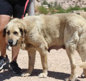 neues Foto September 2025