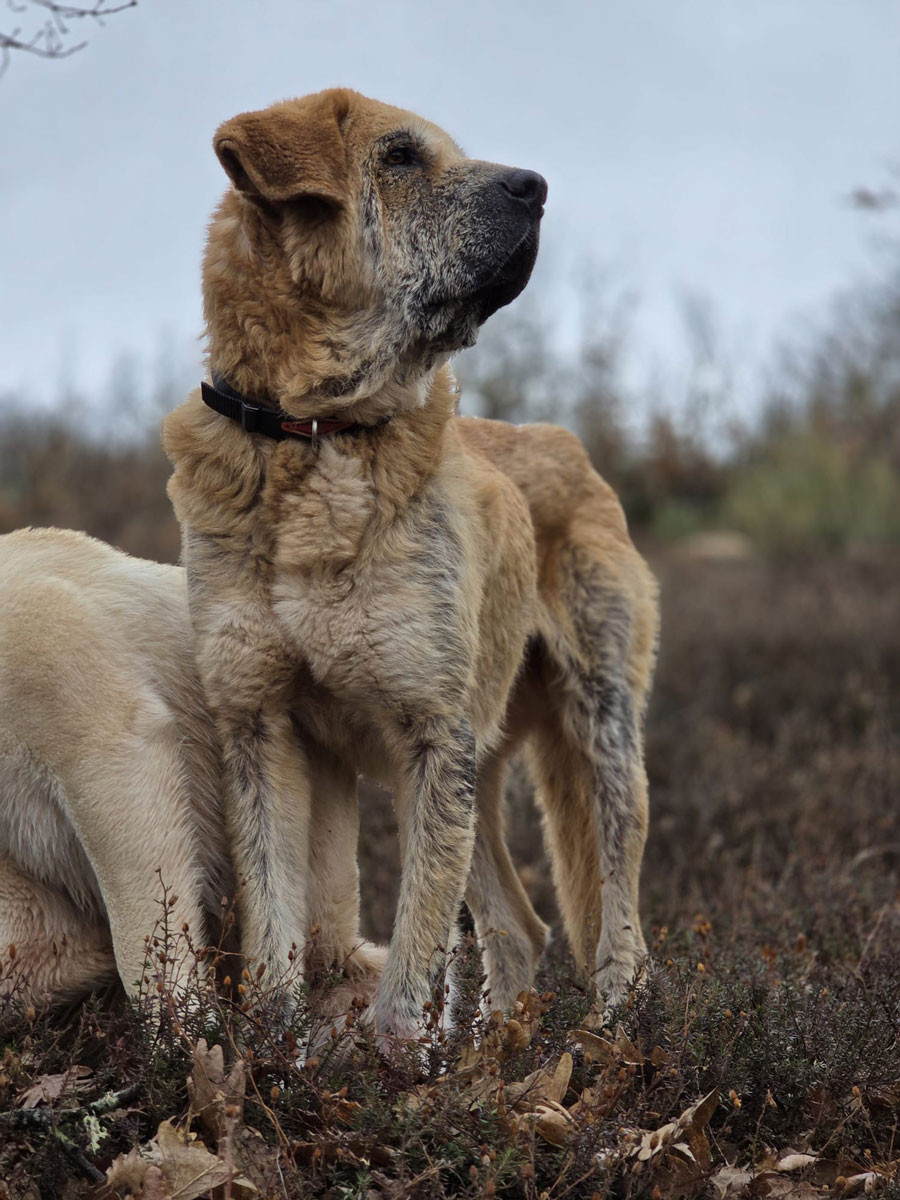 neues Foto September 2025