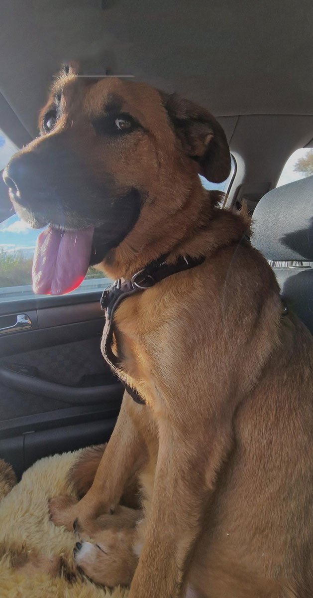 neues Foto September 2025