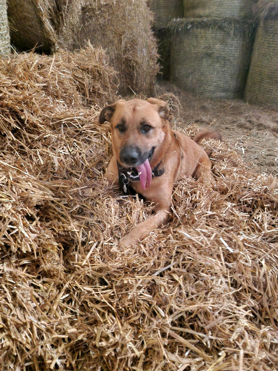 neues Foto September 2025