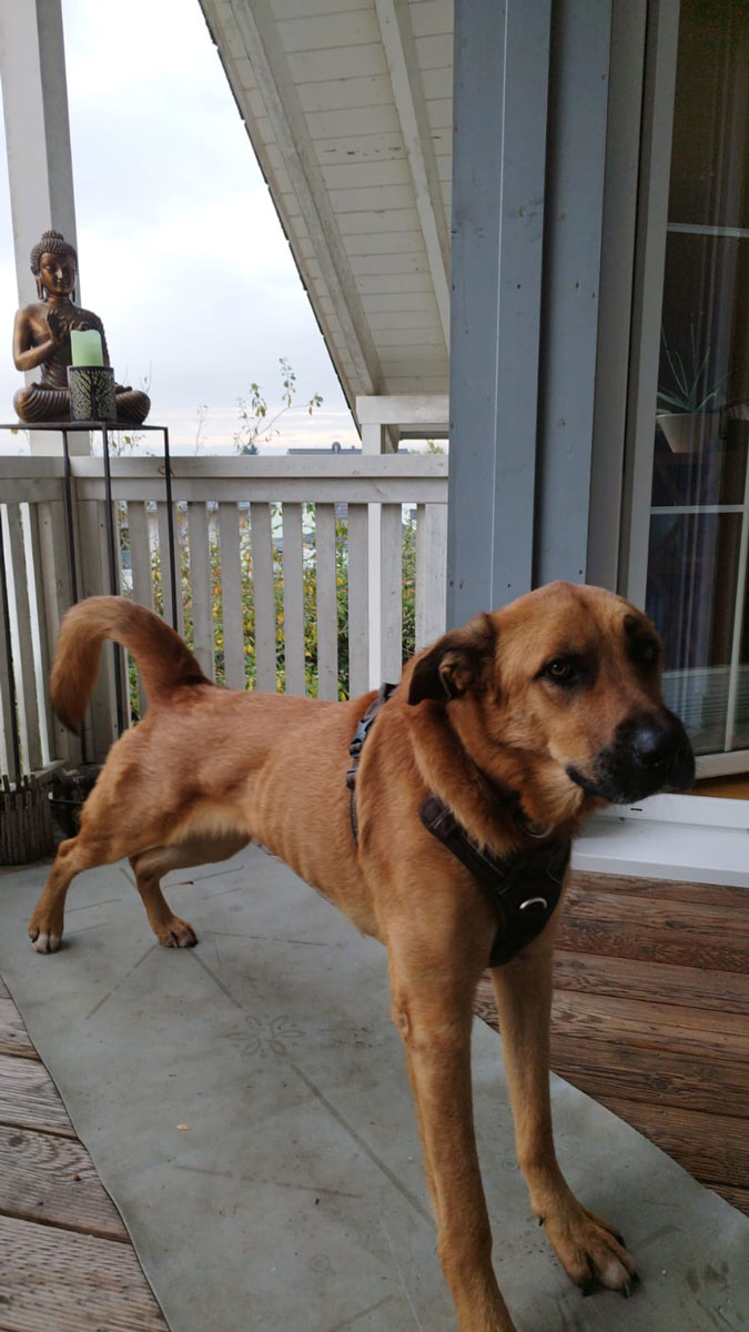 neues Foto September 2025