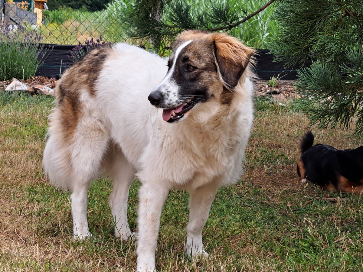 neues Foto September 2025