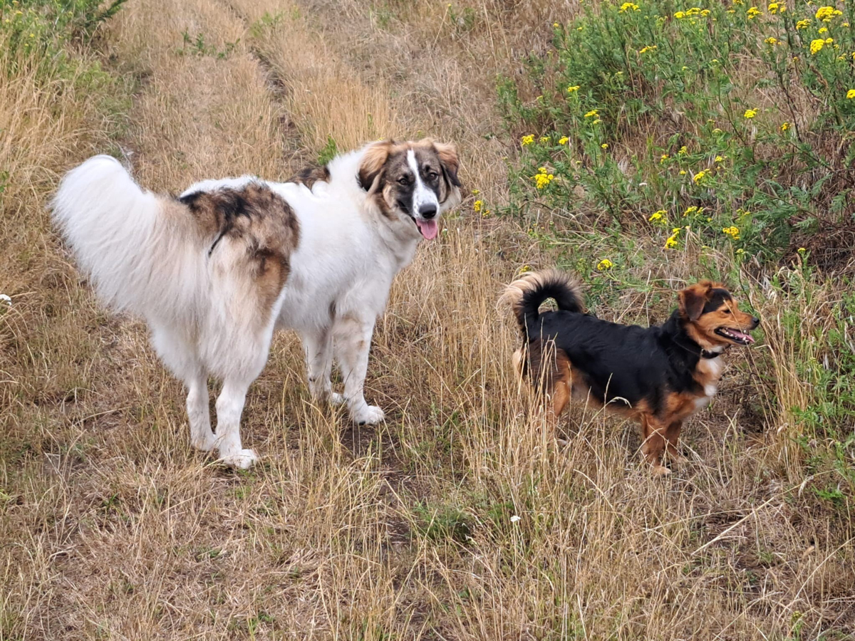 neues Foto September 2025