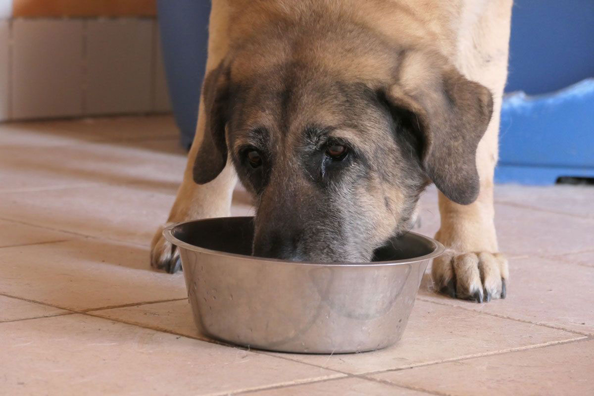 ihre größte Leidenschaft: Essen