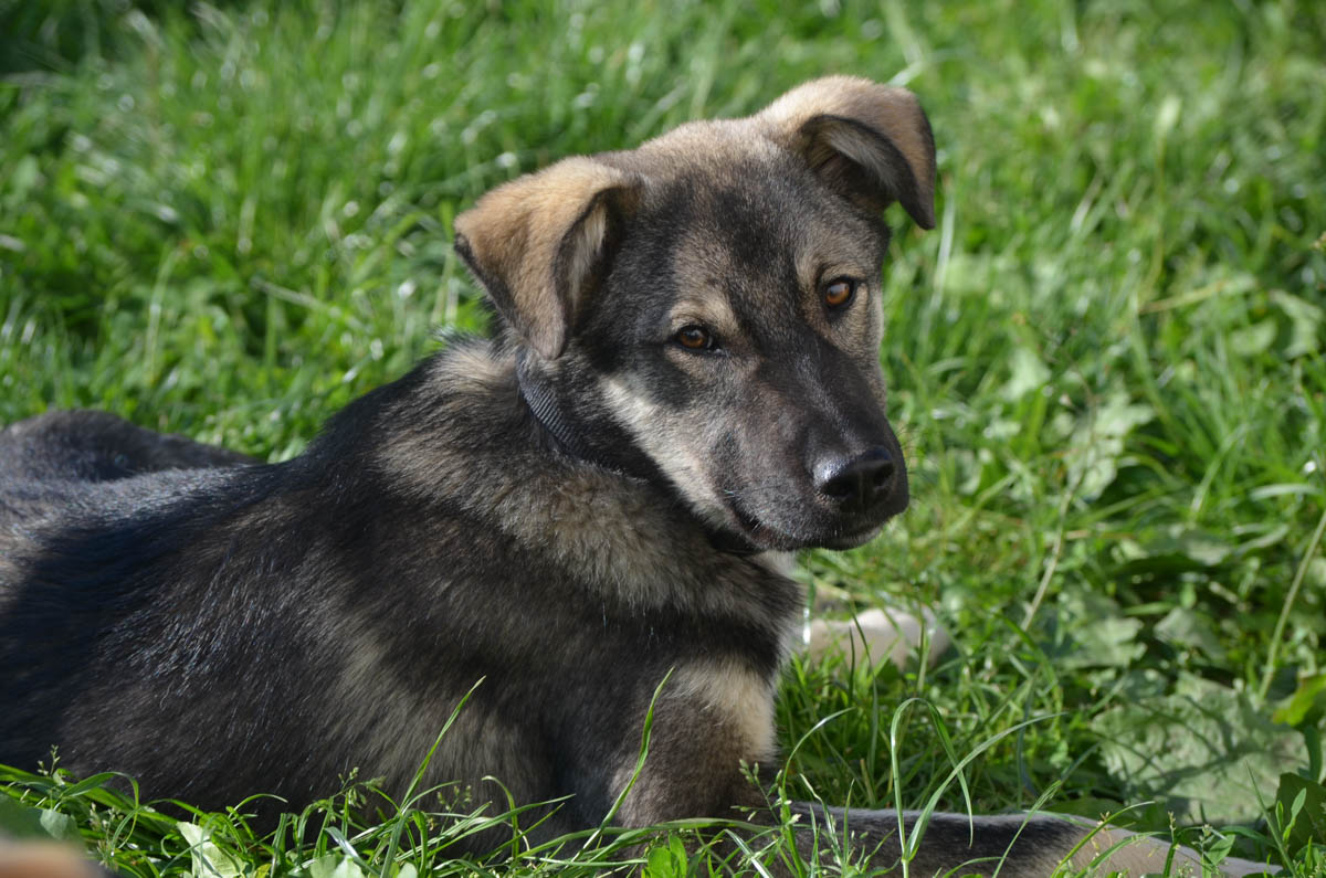 neues Foto September - Max