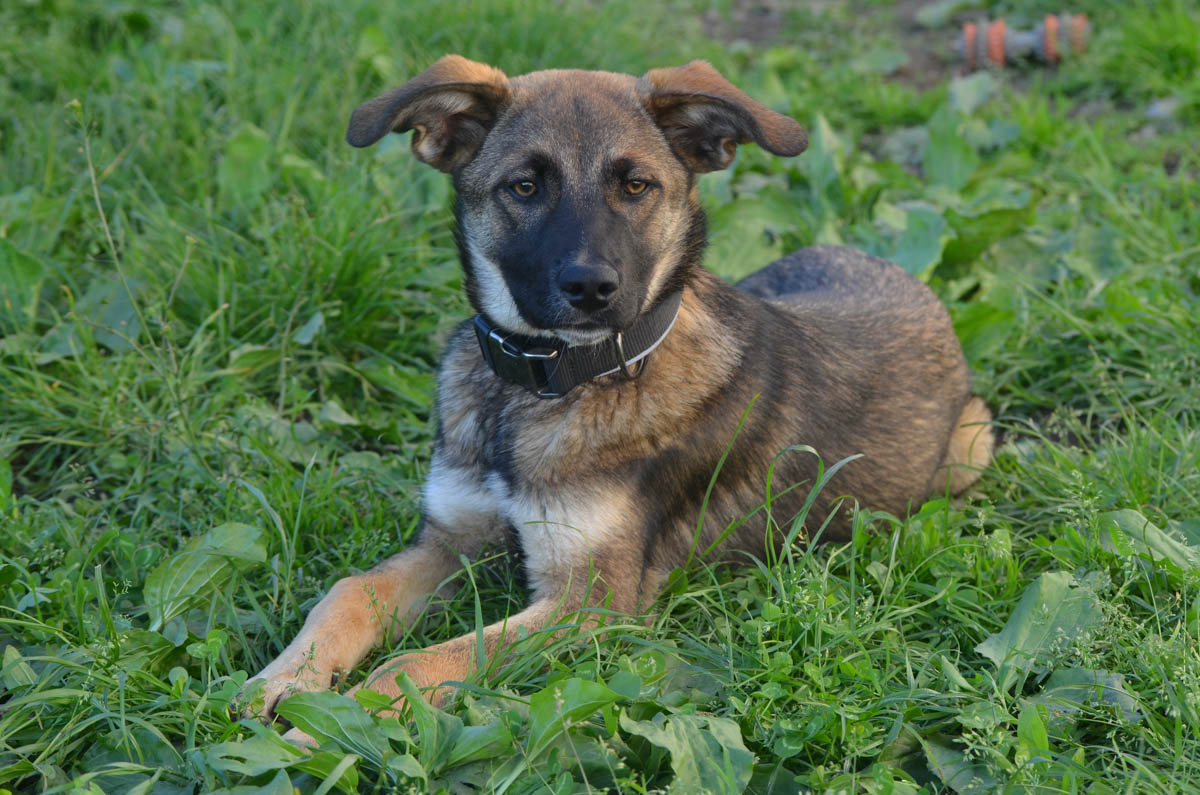 neues Foto September - Janosch