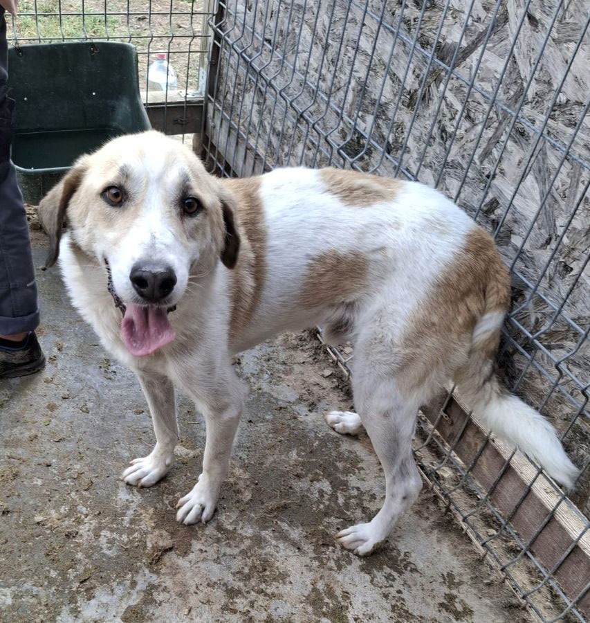 neues Foto September 2025